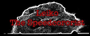 The Speedcororist aka Dj Leiko